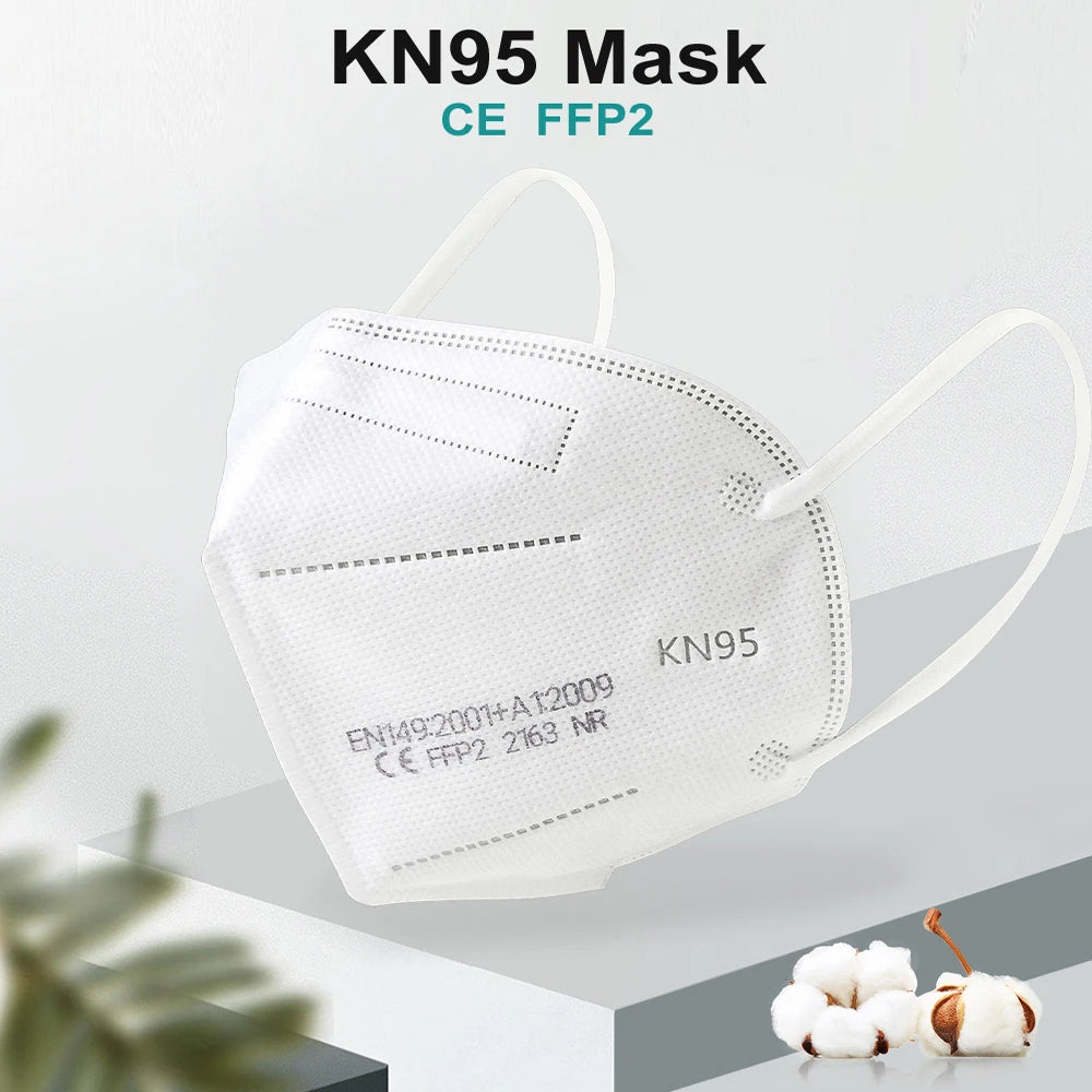 ProAir KN95 Mask